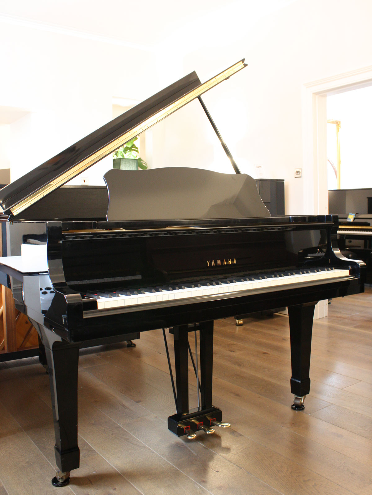 Đàn Piano Grand Yamaha C3 " Piano Grand Acoustic - Ảnh 3