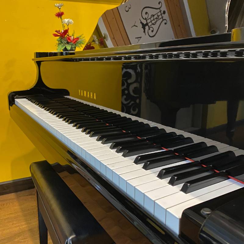 Đàn Piano Grand Yamaha C3 " Piano Grand Acoustic - Ảnh 5